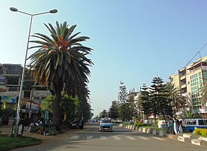 Bahir Dar 5