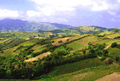 Batanes Hills