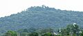 Battery-knob-carthage-tn1