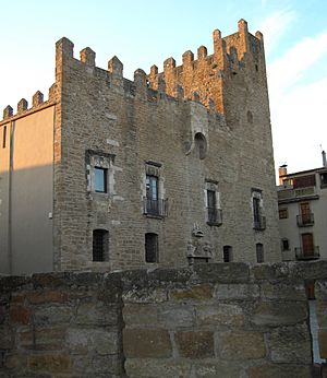 Bisbal Emporda castell.jpg