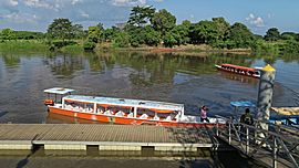 Bootsfahrt am Rio Magdalena 25.jpg