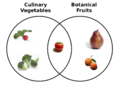 Botanical Fruit and Culinary Vegetables