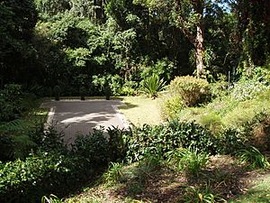 Boyce gardens - view of swimming pool and rainforest