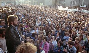 Bundesarchiv Bild 183-1989-1106-405, Plauen, Demonstration vor dem Rathaus