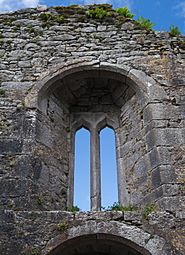 Castlelyons Friary Nave West Window 2015 08 27