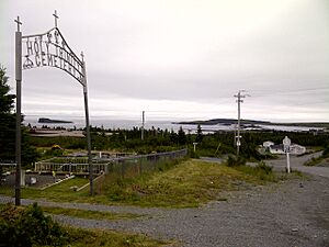 Cemetery and harbour at Ferryland