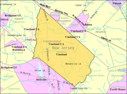 Census Bureau map of Vineland City, New Jersey, which includes the former Vineland Borough and Landis Township.