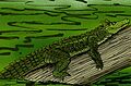 Ceratosuchus burdoshi e