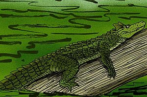 Ceratosuchus burdoshi e