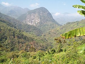 Cerro de algodon