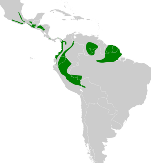 Clibanornis rubiginosus map.svg