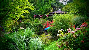 Cluj - Botanic Garden (22201474100)