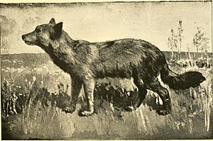 Commissioners' report (1892) (14569119587).jpg