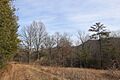 Crawfish Valley, Wythe County, Southwest Virginia,