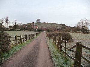 Crookbarrow Hill, Whittington, Worcester (geograph 3250807).jpg