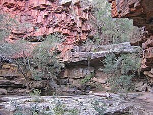 Deadcock-Den-on-Woolshed-Creek1