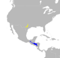 Dendroica chrysoparia map