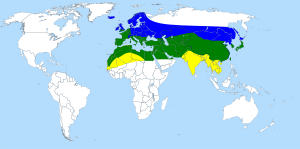 Distribution map Macroglossum stellatarum