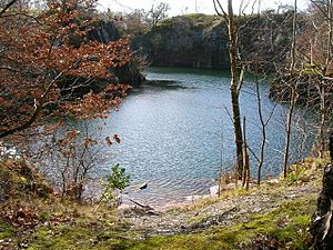 Disused slate quarry in Swithland Wood - geograph.org.uk - 143623.jpg