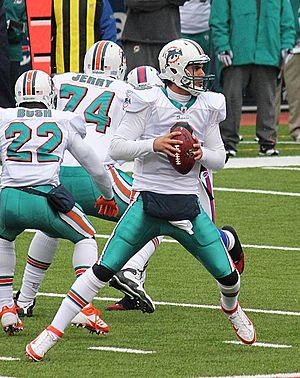 Dolphins quarterback Matt Moore.jpg