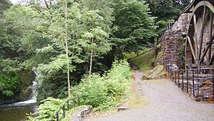 Dyfi Furnace 3