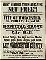 Eight hundred thousand slaves set free (14174338820)