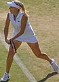 Elena Vesnina (27539888163) (cropped)