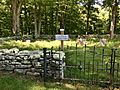 Emerson Cemetery, Lyme, Connecticut