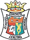 Official seal of Guachetá