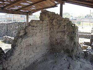 Est 17, muro de adobe