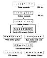 Evolution of Hindu-Arabic numerals