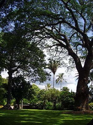 Foster Botanical Garden (general view) - Honolulu, HI