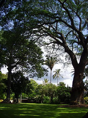 Foster Botanical Garden (general view) - Honolulu, HI.JPG