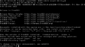 FreeBSD 14 welcome screen after login