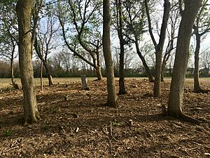 George Hott Farm Cemetery