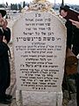 Grave of Moses Feinstein