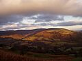 Grwynefechan