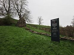 Hadrian's Wall at Hare Hill - geograph.org.uk - 2886878.jpg