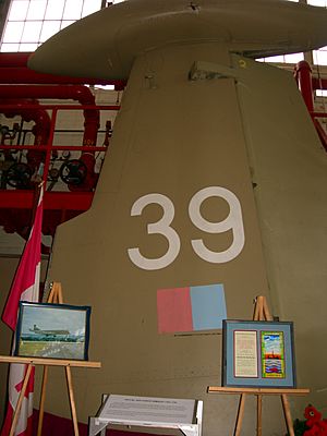 Hawker Siddeley Nimrod XV239 Tail