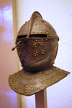 HelmetPalacioCV
