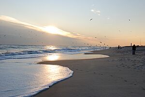 Jones Beach Nov 2008