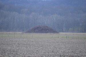 Karshner Mound from 56