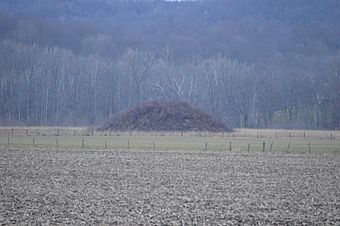 Karshner Mound from 56.jpg