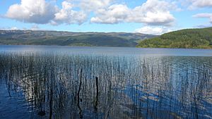 Lago Lleu Lleu 03.jpg