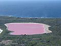 Lake Hillier 2 Middle Island Recherche Archipelago NR IV-2011