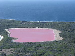Lake Hillier 2 Middle Island Recherche Archipelago NR IV-2011