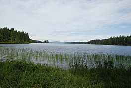 Lake Ozette-flickr-3028149782.jpg