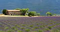 Landscape Provence France 1