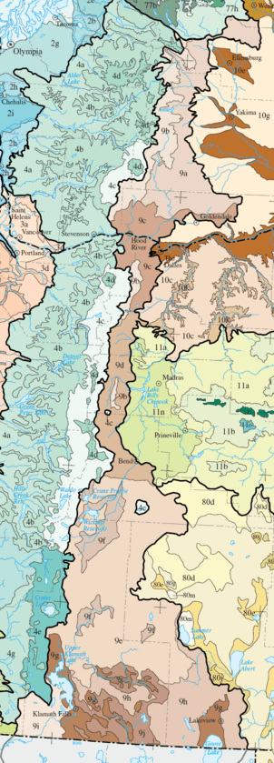 Level IV ecoregions, Eastern Cascades