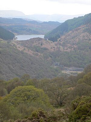 Llyn Geirionydd & Klondyke